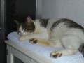 Oly (2)